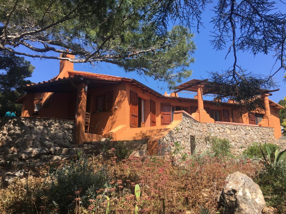 詹努特里岛Casa Diana住宿加早餐旅馆 外观 照片