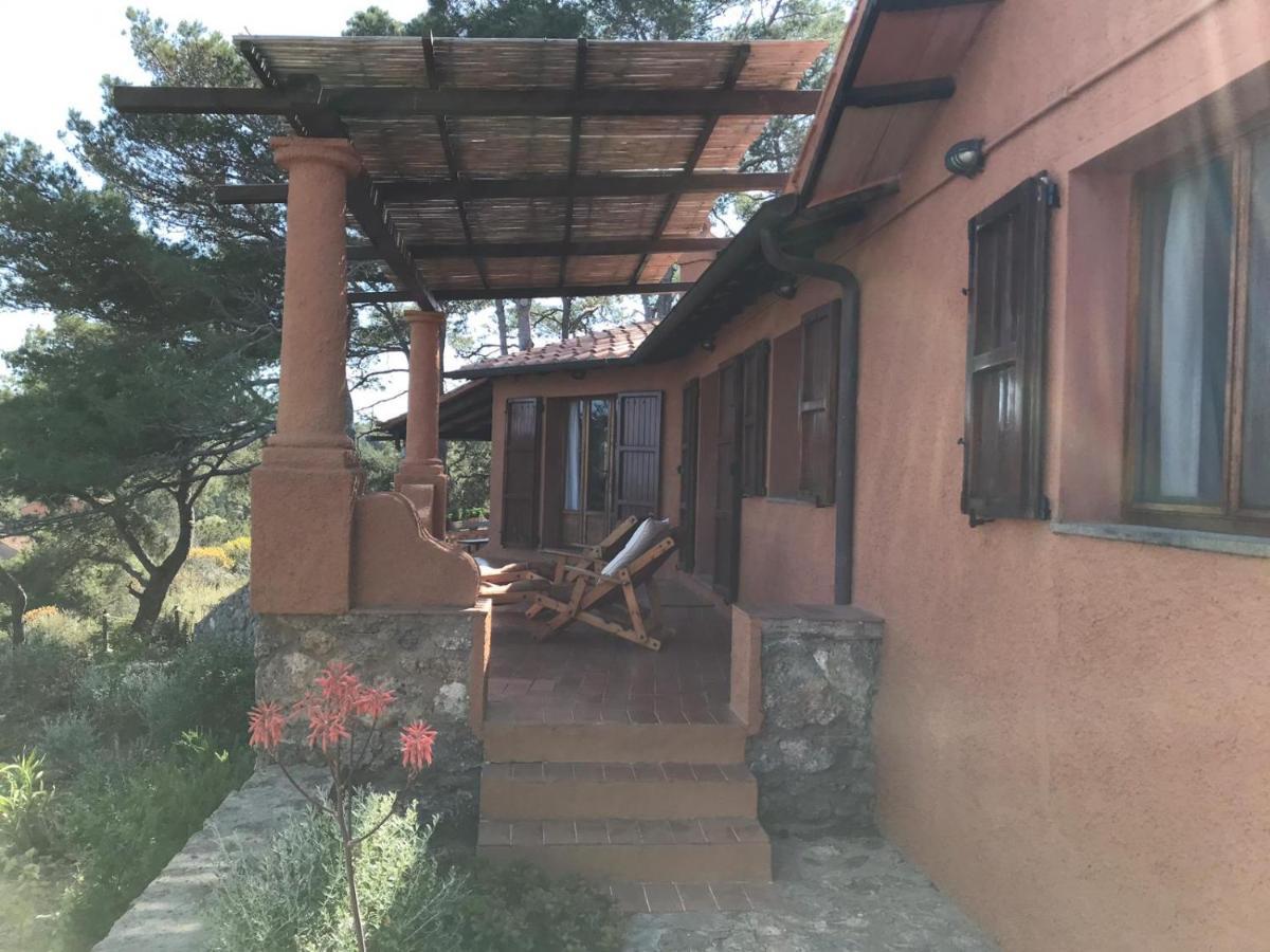詹努特里岛Casa Diana住宿加早餐旅馆 外观 照片